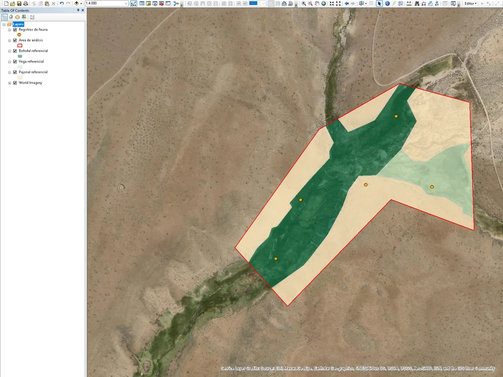 Análisis espacial en ArcMap con delimitación referencial de ambientes altoandinos y registros de fauna