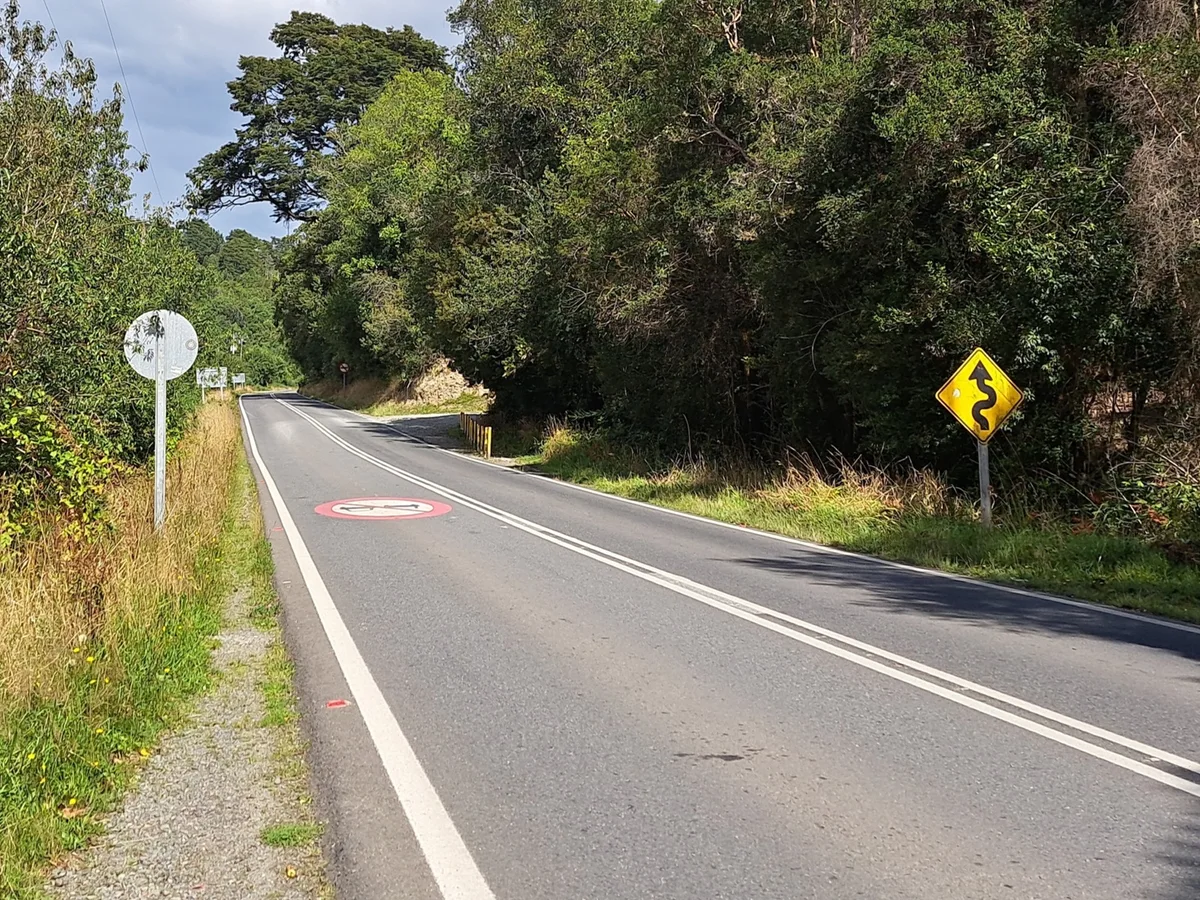 Camino pavimentado rodeado de vegetación arbórea y arbustiva, con señalización vial de curvas