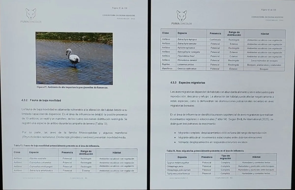 Informe técnico demostrativo de fauna silvestre de Pumaconcolor, con fotografías, tablas de especies y análisis de antecedentes ambientales